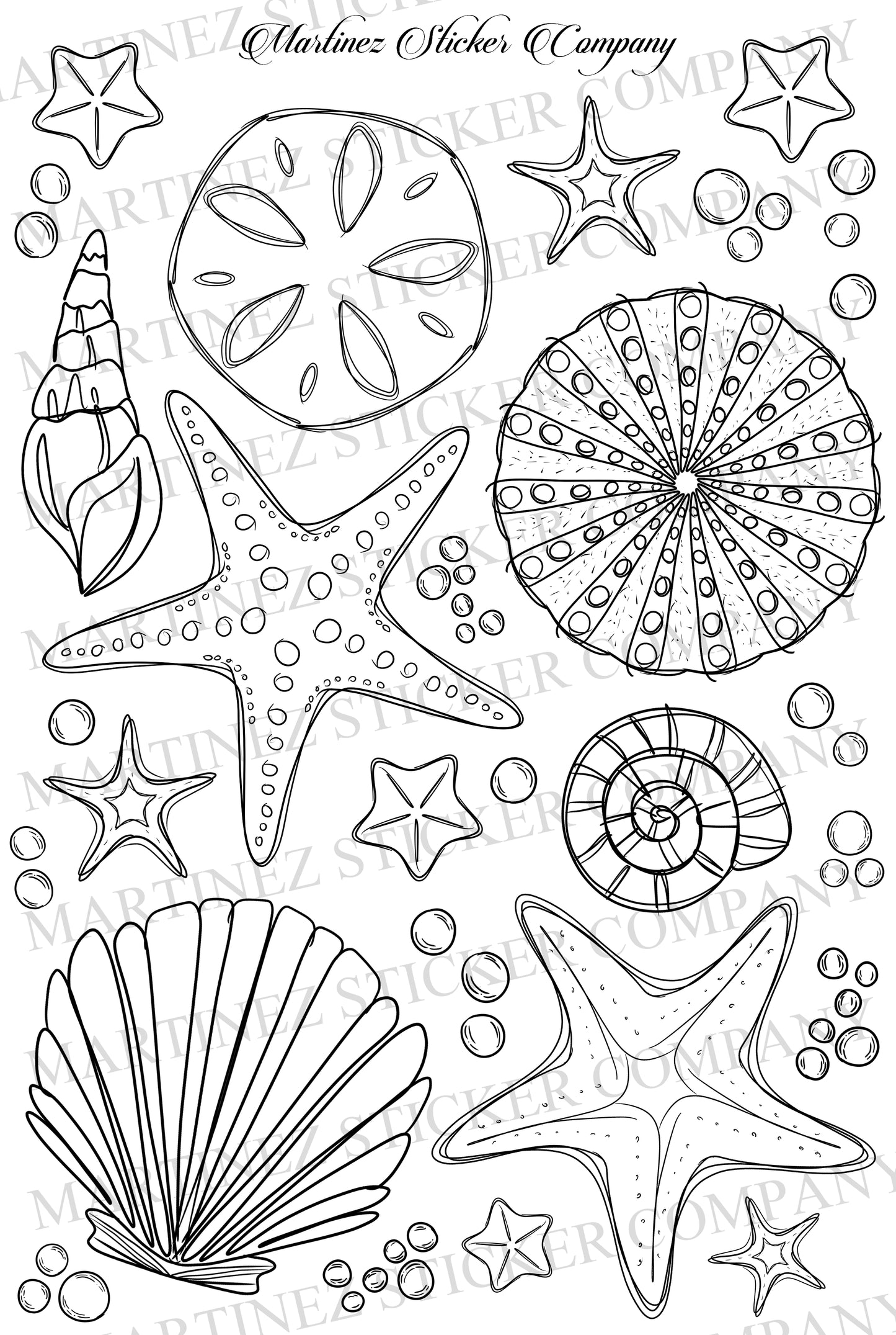 Seashells and Starfish BW