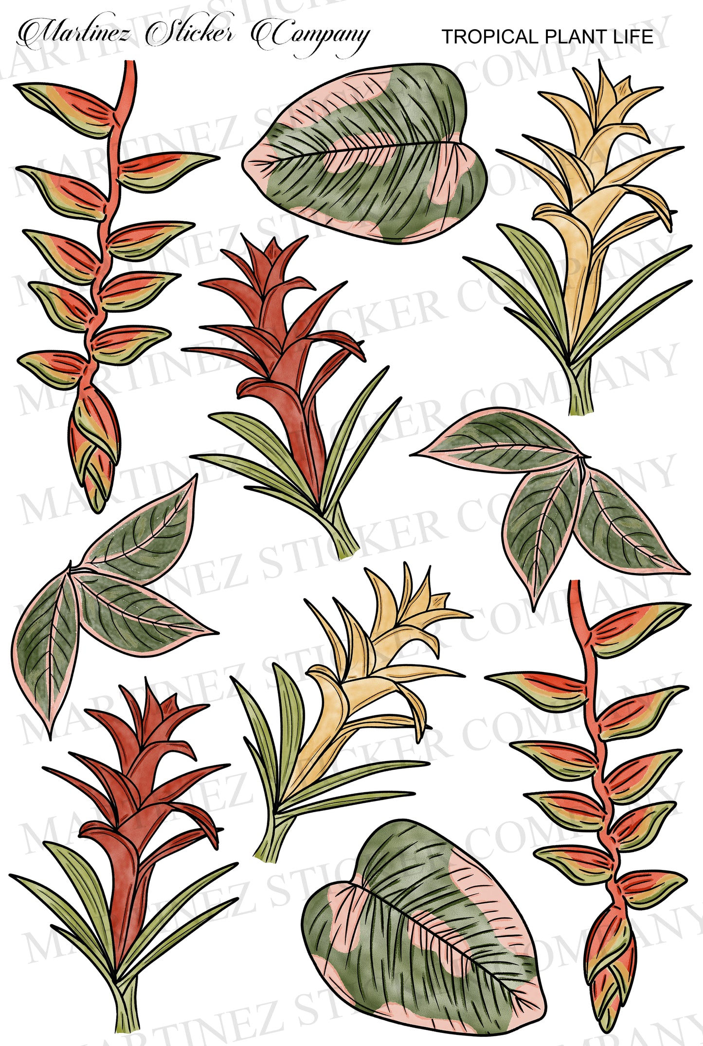 Tropical Plant Life
