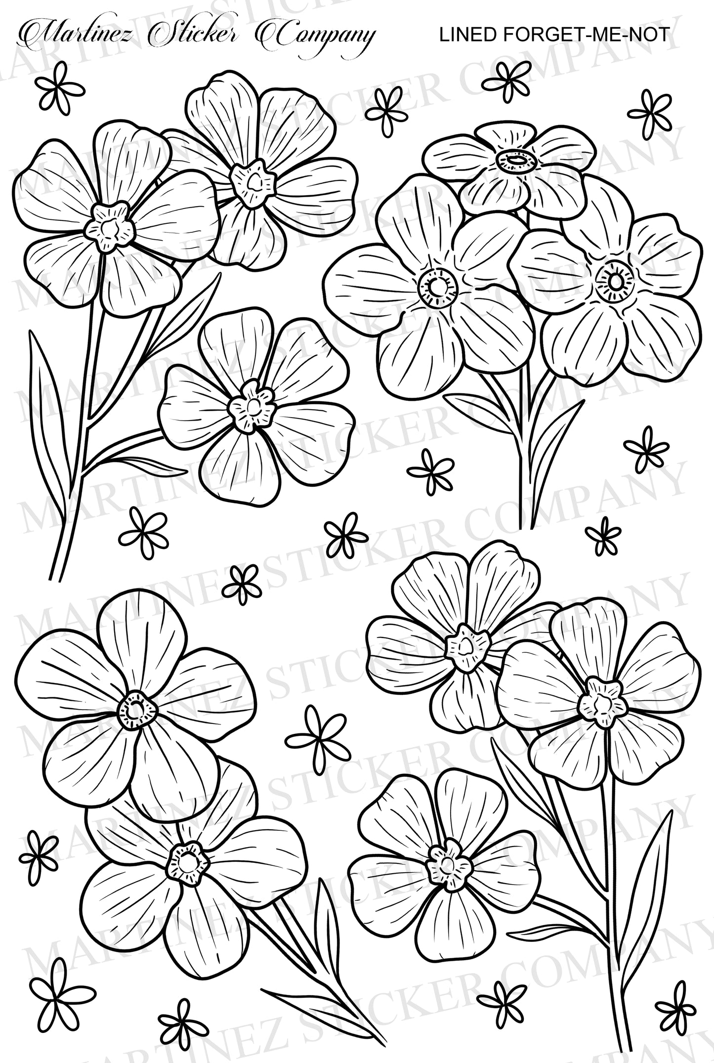 Lined Forget-Me-Not