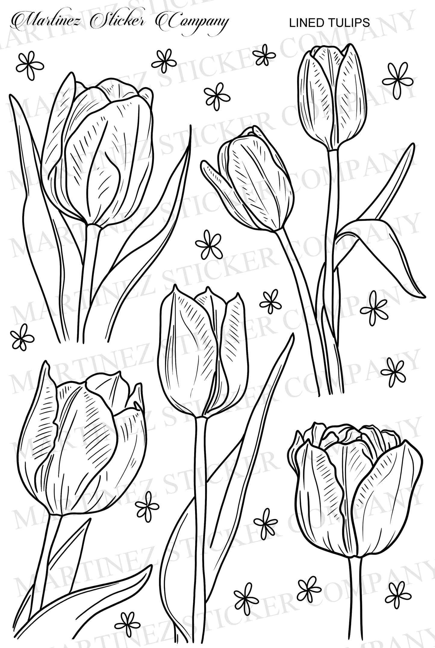 Lined Tulips