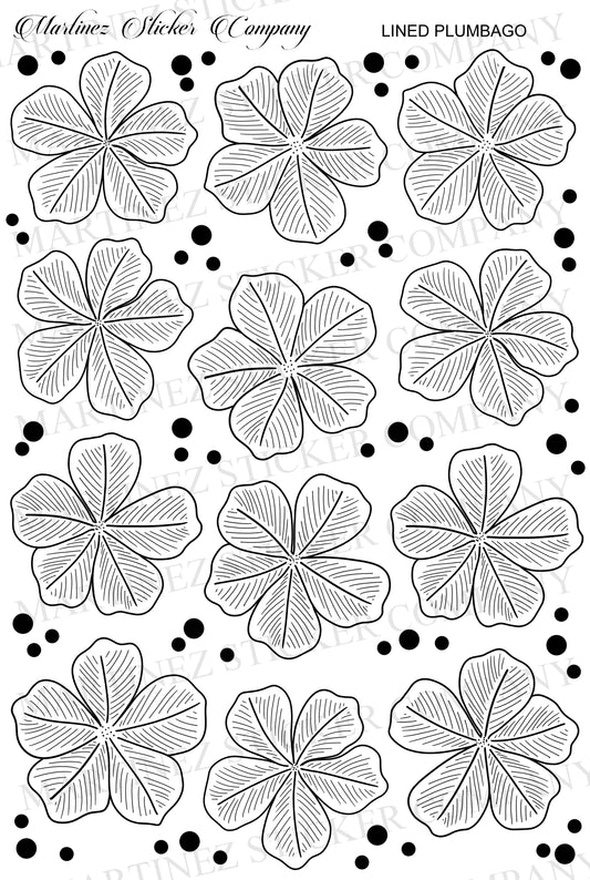 Lined Plumbago
