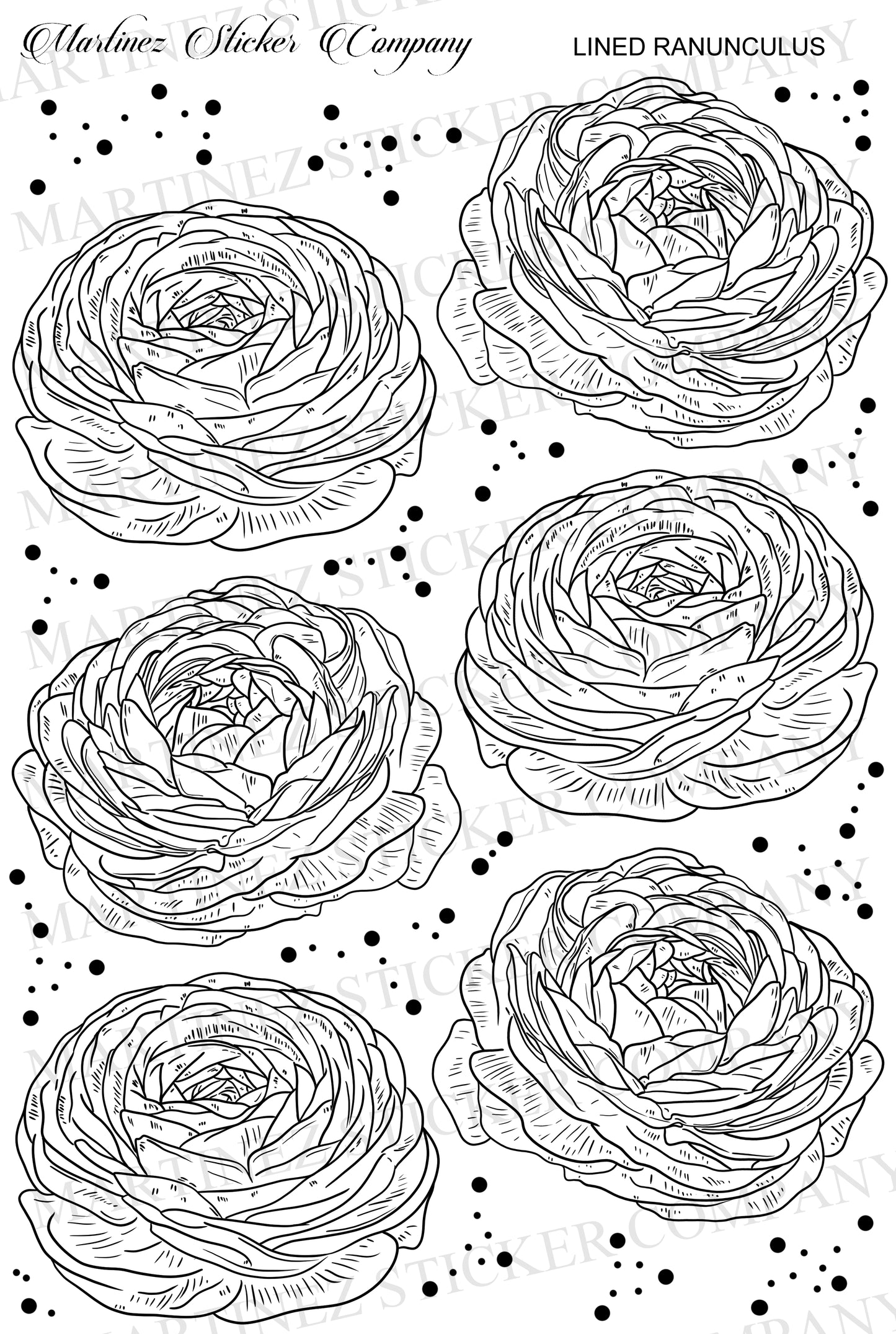 *PRINTABLE* Lined Ranunculus