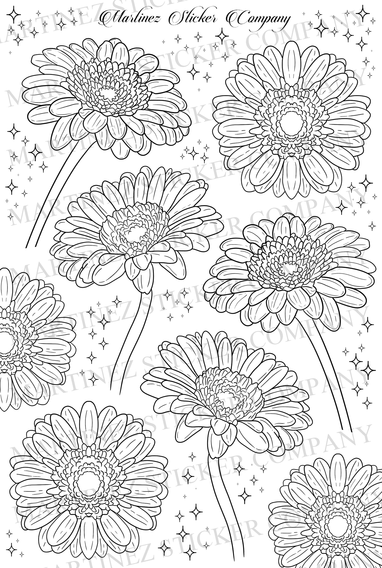 Lined Gerbera Daisies