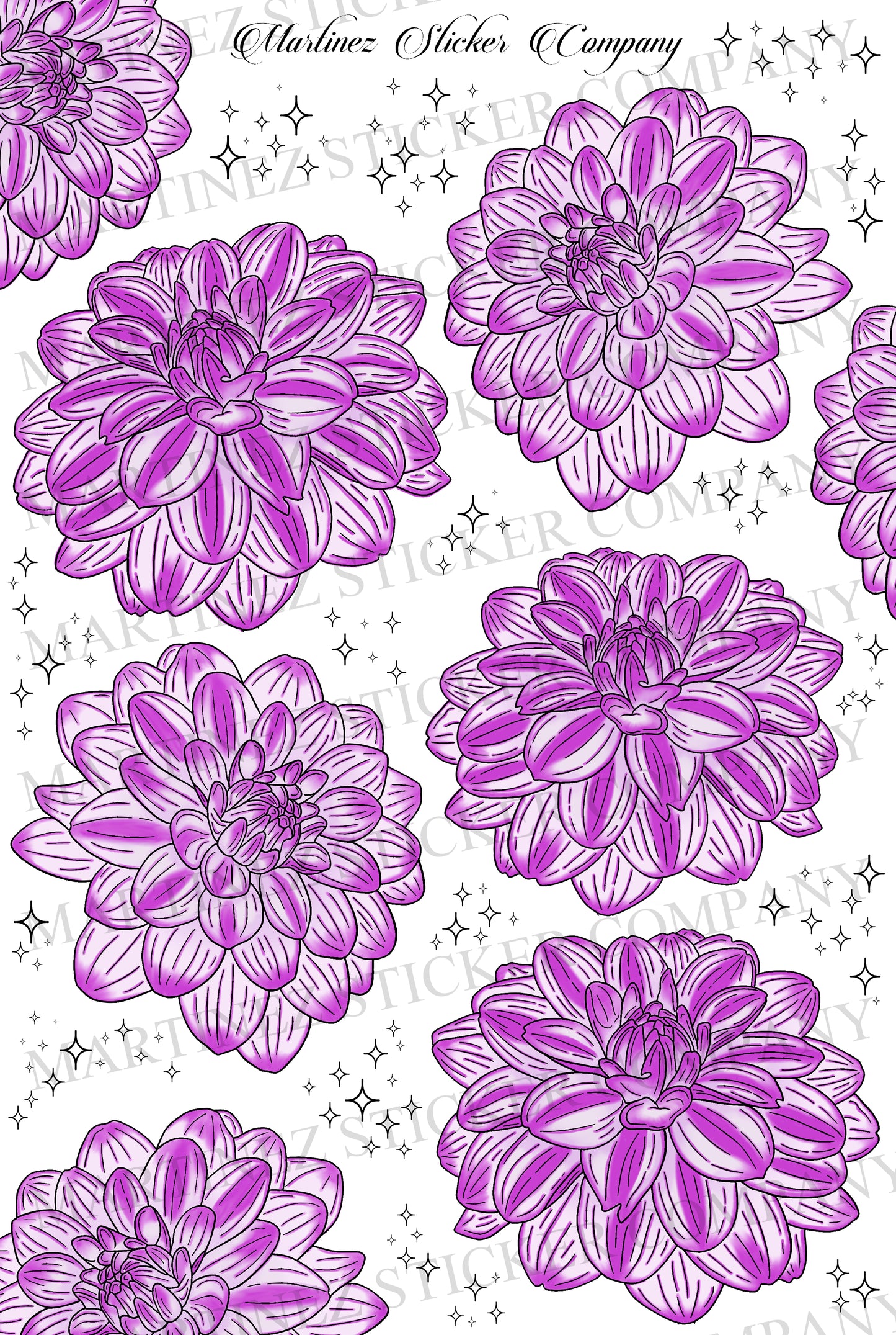 Purple Dahlias