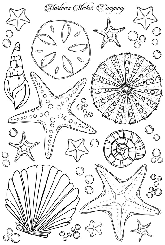 Seashells and Starfish BW