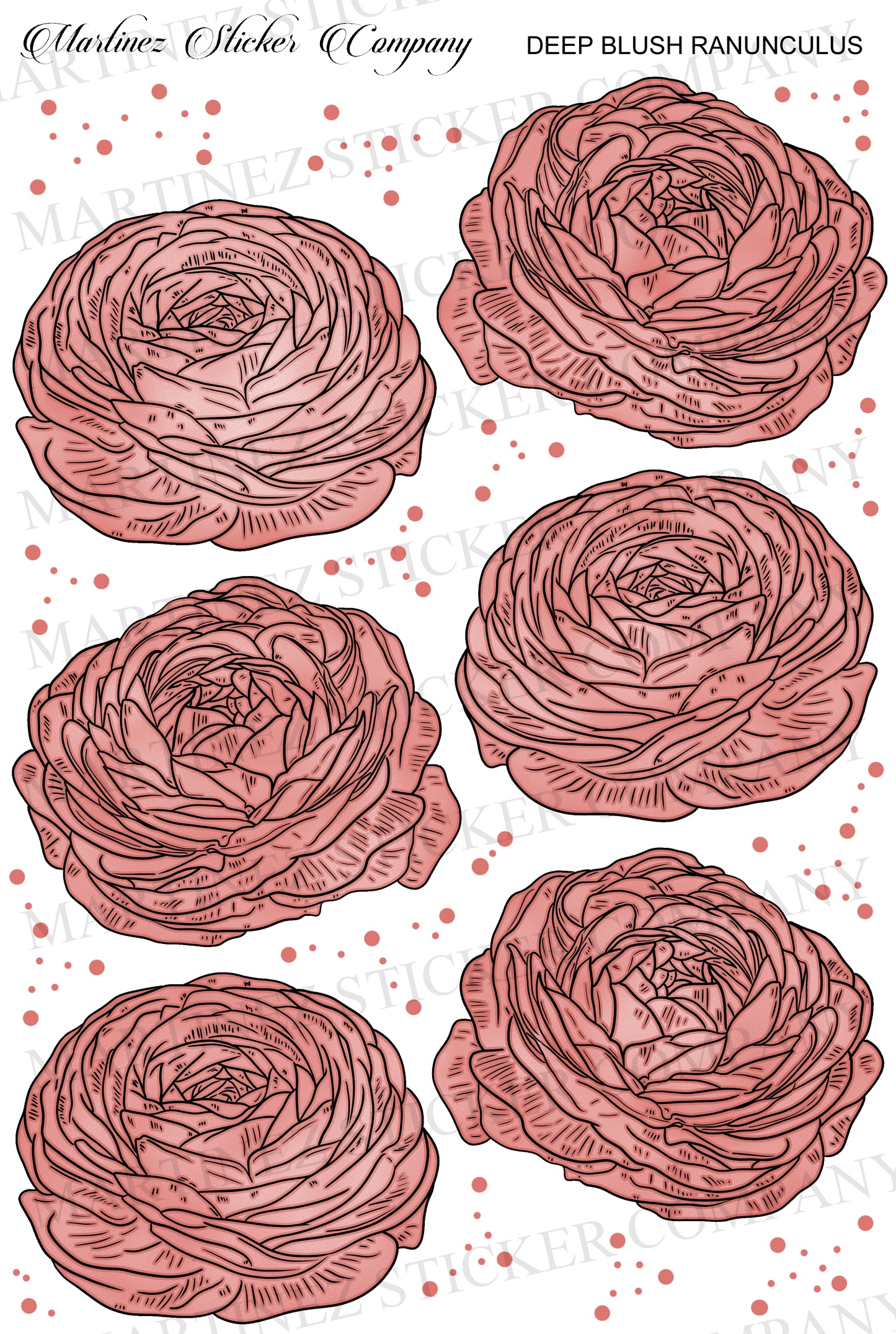 *PRINTABLE* Deep Blush Ranunculus