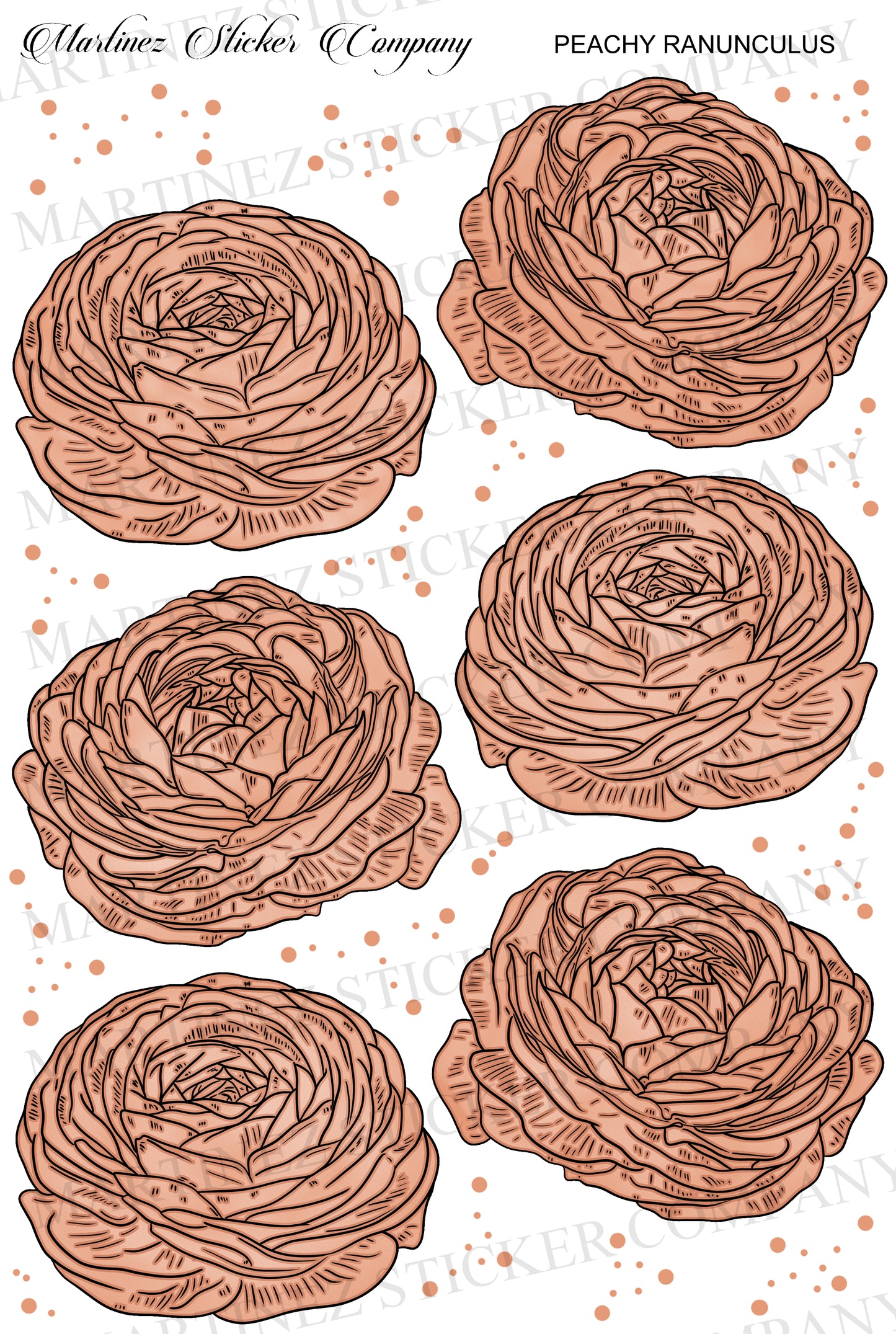 Peachy Ranunculus